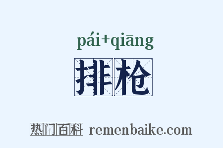 排枪是什么意思的图片